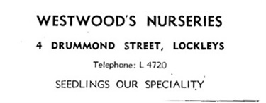 4 Drummond Street - Westwood Nurseries