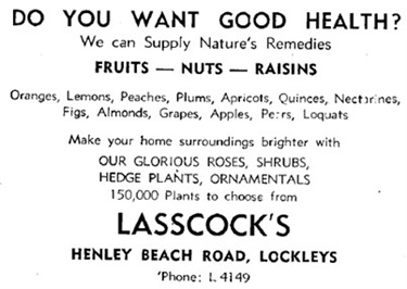 Henley Beach Road - Lasscock’s Nursery
