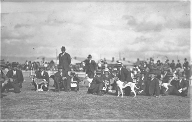022-SLSA-PRG-280-1-23-199 Men-with dogs at the start of a race at Thebarton Oval 1921