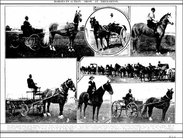 Horses in Action Show at Thebarton Oval 18 October 1924