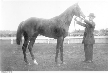 Horse trainer J. H. Aldridge of Richmond Park stud farm and the race-horse 'Helen Vane' photographed at a South Australian racecourse, 1920 SLSA PRG 280/1/19/181
