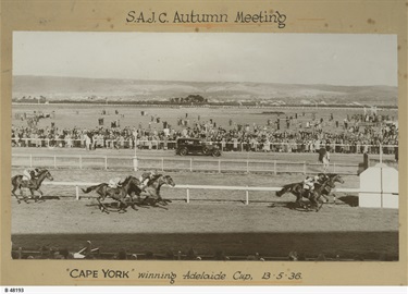 Cape York winning Adelaide Cup, 13.5.36 SLSA B48193