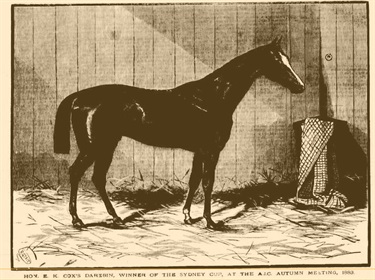 The Racehorse Darebin, Australian Town and Country Journal, 7 April 1883 via Trove