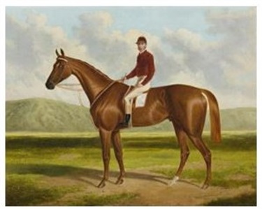 Painting of Falcon: winner of the 1864 Adelaide cup Frederick Woodhouse Snr (1820-1909)