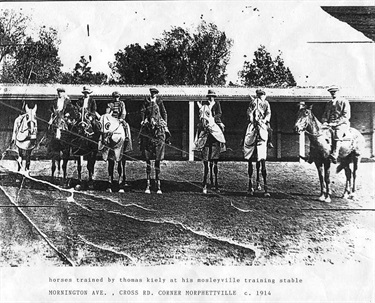 Horses trained by Thomas Keily at his Moseleyville Training Stable, c1914, WTHS LH0353-02e