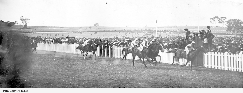 Racing and other Equine Sports in West Torrens City of West Torrens