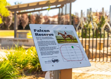 Falcon Avenue Reserve sign