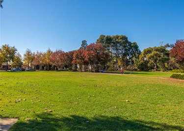 Mile End Common oval