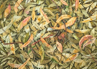 A Carpet of Leaves - Carol Taylor