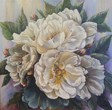 Beauty of White Roses in West Torrens Garden - Zenon Karolczuk