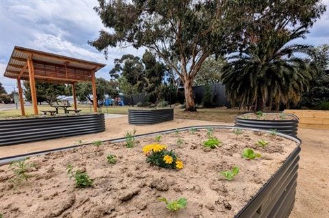 Netley Community Garden.jpg