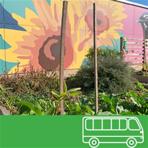 Community bus tour community garden social media tile Aug 2024 (A3239045).jpg